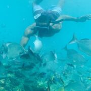 Como llegar a las islas del rosario