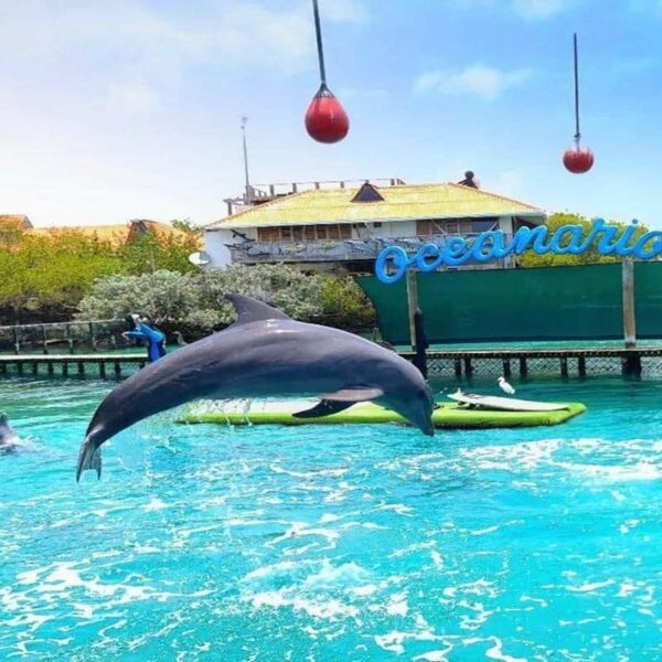 Tour 4 Destinos + Oceanario